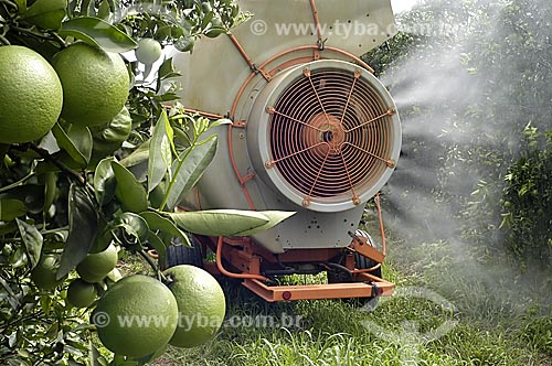  Subject: Planting of orange / Place: Limeira city - Sao Paulo state (SP) - Brazil / Date: 02/2006 