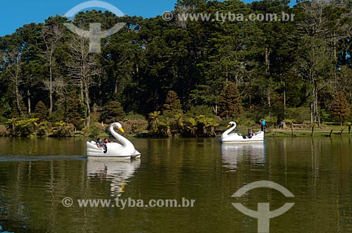  Subject: View of Paddleboats shaped like swans in Park Black Lake / Place: Gramado city - Rio Grande do Sul state (RS) - Brazil / Date: 07/2011 