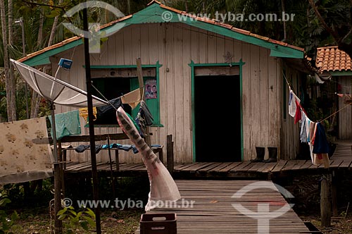  Subject: House on stilts / Place: Abaetetuba city - Para state (PA) - Brazil / Date: 12/2008 