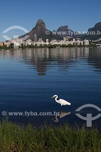  Subject: View of the Rodrigo de Freitas Lagoon  / Place: Rio de Janeiro city - Rio de Janeiro state (RJ) - Brazil / Date: 05/2011 