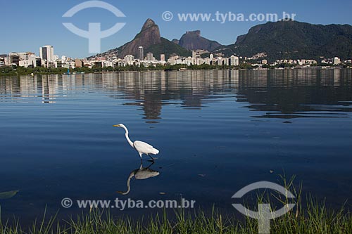  Subject: View of the Rodrigo de Freitas Lagoon  / Place: Rio de Janeiro city - Rio de Janeiro state (RJ) - Brazil / Date: 05/2011 