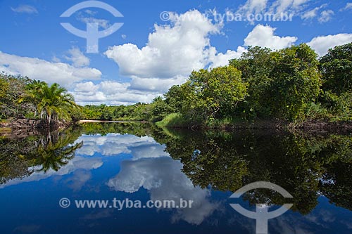  Subject: Landscape in the flooded Marimbu - Known as the Chapada Diamantina pantanal / Place: Bahia state (BA) - Brazil / Date: 07/2011 