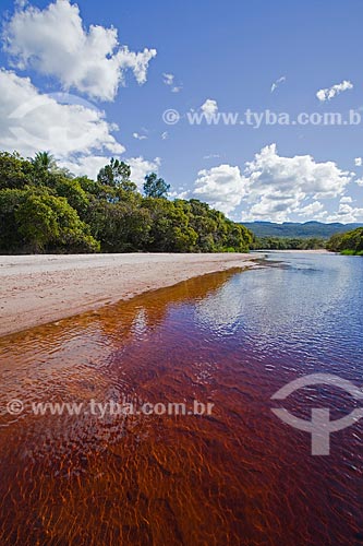  Subject: Landscape in the flooded Marimbu - Known as the Chapada Diamantina pantanal / Place: Bahia state (BA) - Brazil / Date: 07/2011 