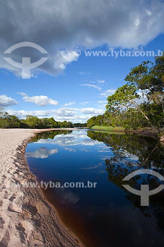  Subject: Landscape in the flooded Marimbu - Known as the Chapada Diamantina pantanal / Place: Bahia state (BA) - Brazil / Date: 07/2011 