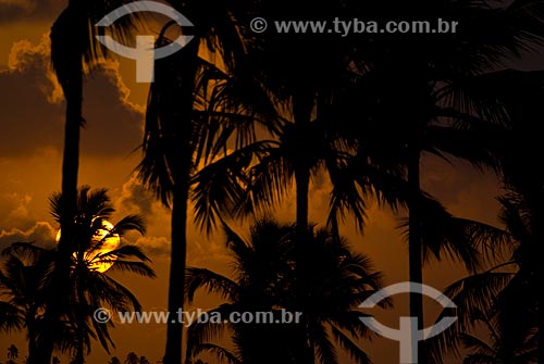  Subject: Sunset in Porto de Galinhas / Place: Ipojuca city - Pernambuco state (PE) - Brazil / Date: 09/2011 