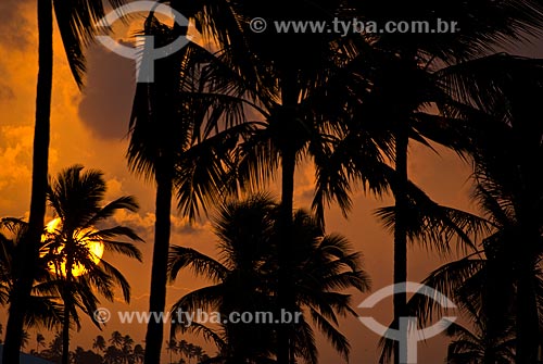  Subject: Sunset in Porto de Galinhas / Place: Ipojuca city - Pernambuco state (PE) - Brazil / Date: 09/2011 