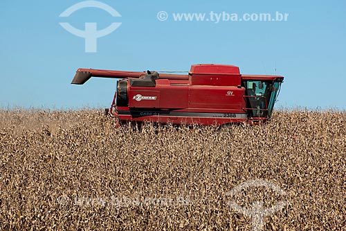  Subject: Corn harvest / Place: Capao Bonito do Sul city - Rio Grande do Sul state (RS)- Brazil / Date: 04/2011 