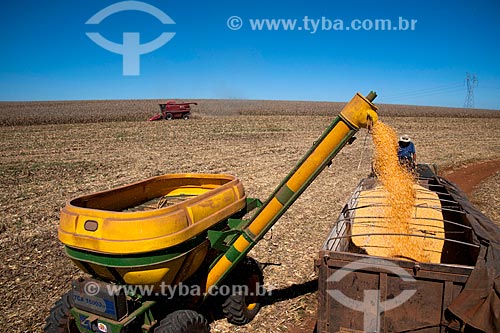  Subject: Unloading corn / Place: Capao Bonito do Sul city - Rio Grande do Sul state (RS)- Brazil / Date: 04/2011 