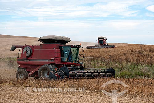  Subject: Bean harvest / Place: Vacaria city - Rio Grande do Sul state (RS) - Brazil / Date: 04/2011 