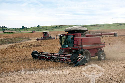  Subject: Bean harvest / Place: Vacaria city - Rio Grande do Sul state (RS) - Brazil / Date: 04/2011 