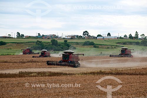  Subject: Bean harvest / Place: Vacaria city - Rio Grande do Sul state (RS) - Brazil / Date: 04/2011 