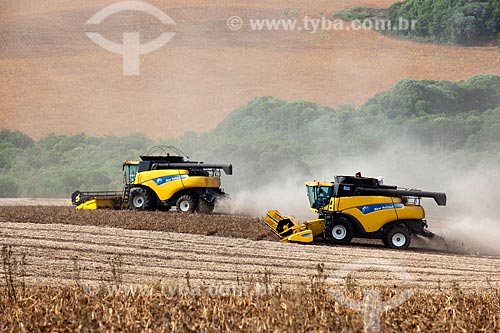  Subject: Bean harvest / Place: Muitos Capoes city - Rio Grande do Sul state (RS) - Brazil / Date: 04/2011 