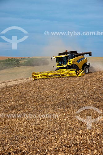  Subject: Bean harvest / Place: Muitos Capoes city - Rio Grande do Sul state (RS) - Brazil / Date: 04/2011 
