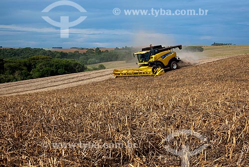  Subject: Bean harvest / Place: Muitos Capoes city - Rio Grande do Sul state (RS) - Brazil / Date: 04/2011 