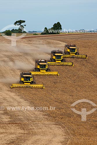  Subject: Bean harvest / Place: Muitos Capoes city - Rio Grande do Sul state (RS) - Brazil / Date: 04/2011 