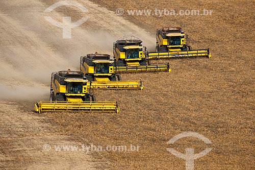  Subject: Bean harvest / Place: Muitos Capoes city - Rio Grande do Sul state (RS) - Brazil / Date: 04/2011 