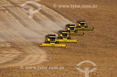  Subject: Bean harvest / Place: Muitos Capoes city - Rio Grande do Sul state (RS) - Brazil / Date: 04/2011 