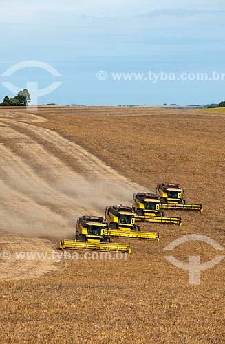  Subject: Bean harvest / Place: Muitos Capoes city - Rio Grande do Sul state (RS) - Brazil / Date: 04/2011 