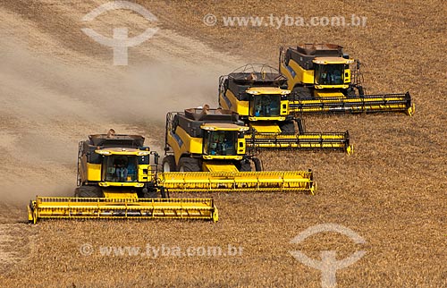  Subject: Bean harvest / Place: Muitos Capoes city - Rio Grande do Sul state (RS) - Brazil / Date: 04/2011 