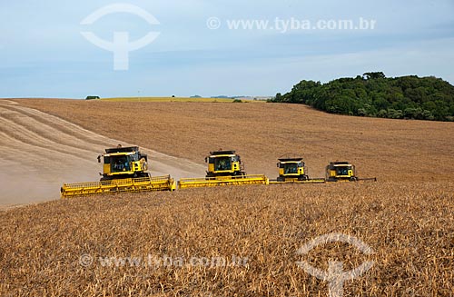 Subject: Bean harvest / Place: Muitos Capoes city - Rio Grande do Sul state (RS) - Brazil / Date: 04/2011 