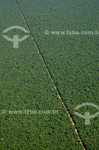  Subject: Aerial view of dirt road in an area of cerradao preserved / Place: Querencia city - Mato Grosso state (MT) - Brazil / Date: 07/2011 