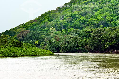  Subject: Miranda River / Place: Corumba city - Mato Grosso do Sul state (MS) - Brazil / Date: 10/2010 