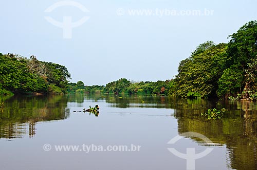  Subject: Miranda River / Place: Corumba city - Mato Grosso do Sul state (MS) - Brazil / Date: 10/2010 