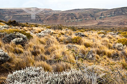  Subject: Desert on El Calafate / Place: Patagonia - Argentina - South America / Date: 02/2010 