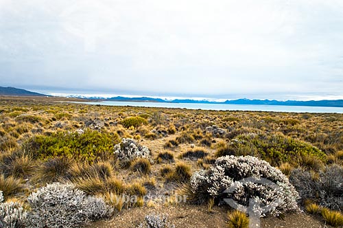  Subject: Desert on El Calafate / Place: Patagonia - Argentina - South America / Date: 02/2010 