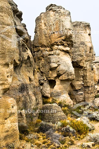  Subject: Punta Walichu - El Calafate / Place: Patagonia - Argentina - South America / Date: 02/2010 