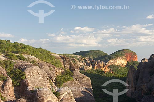  Subject: View of the Baixão das Andorinhas in Serra da Capivara National Park  / Place: Sao Raimundo Nonato city - Piaui state (PI) - Brazil / Date: 01/2010 