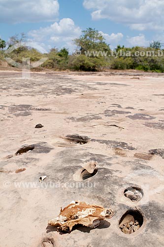  Subject: Sazonal stream in the period of dries / Place: Teresina city - Piaui state (PI) - Brazil / Date: 08/2011 