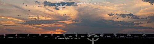  Subject: Wagons of Railway Transnordestina - TLSA - Transnordestina Logistics S/A / Place: Salgueiro city - Pernambuco state (PE) - Brazil / Date: 10/2011 