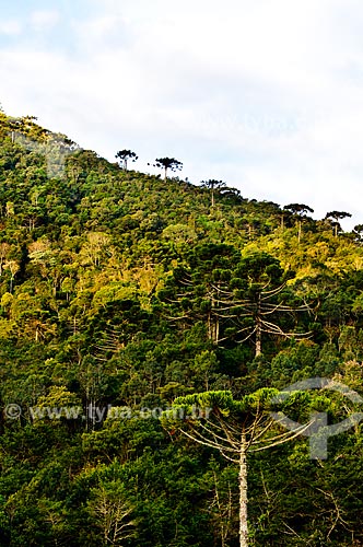  Subject: View of the Itatiaia National Park - Plateau (Part of High) / Place: Itatiaia city - Rio de Janeiro state (RJ) - Brazil / Date: 07/2010 