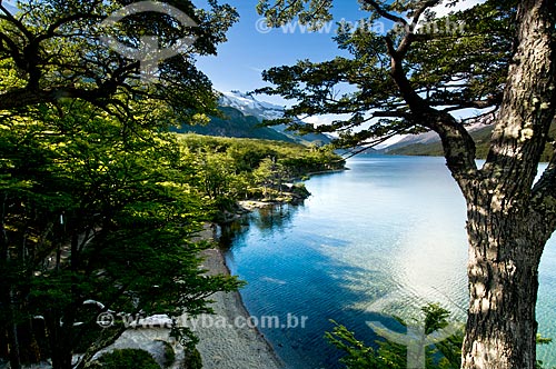  Subject: View of Lake del Desierto / Place: El Chalten city - Santa Cruz Province - Argentina - South America / Date: 02/2010 