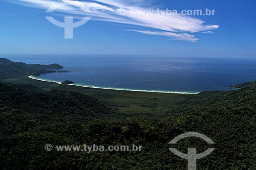  Subject: Biological Reserve of South Beache / Place: Ilha Grande District - Angra dos Reis city - Rio de Janeiro state (RJ) - Brazil / Date: 01/2012 