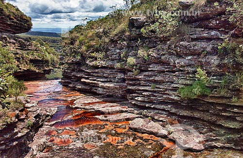  Subject: River on the way to Fumaça Waterfall / Place: Bahia state (BA) - Brazil / Date: 01/2012 