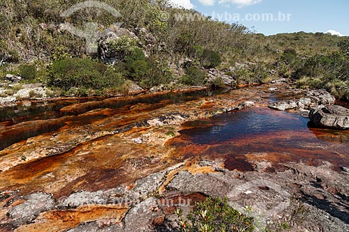  Subject: River on the way to Fumaça Waterfal / Place: Bahia state (BA) - Brazil / Date: 01/2012 