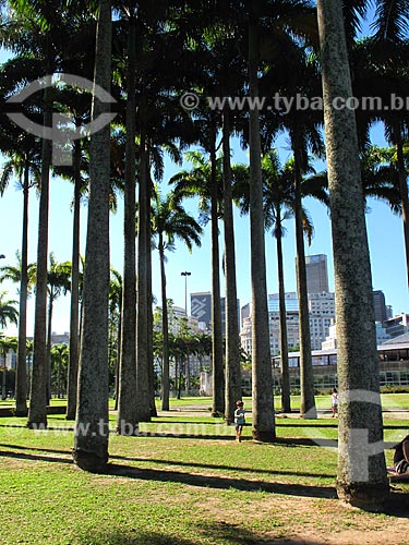  Subject: Palm Trees in Flamengo Landfill / Place: Rio de Janeiro city - Rio de Janeiro state (RJ) - Brazil / Date: 02/2012 