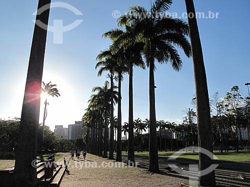  Subject: Palm Trees in Flamengo Landfill / Place: Rio de Janeiro city - Rio de Janeiro state (RJ) - Brazil / Date: 02/2012 