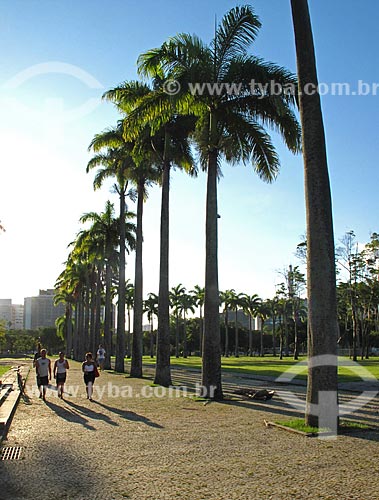  Subject: Palm Trees in Flamengo Landfill / Place: Rio de Janeiro city - Rio de Janeiro state (RJ) - Brazil / Date: 02/2012 