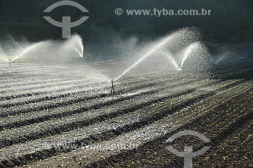  Subject: Irrigation in vegetables plantation in the mountainous region of Rio de Janeiro - Teresopolis-Friburgo Road / Place: Vargem Grande neighborhood - Teresopolis city - Rio de Janeiro state (RJ) - Brazil / Date: 02/2012 