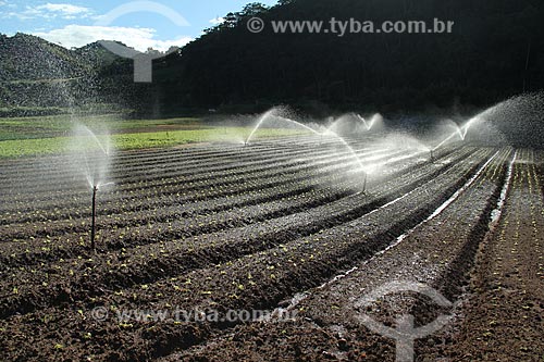  Subject: Irrigation in vegetables plantation in the mountainous region of Rio de Janeiro - Teresopolis-Friburgo Road / Place: Vargem Grande neighborhood - Teresopolis city - Rio de Janeiro state (RJ) - Brazil / Date: 02/2012 