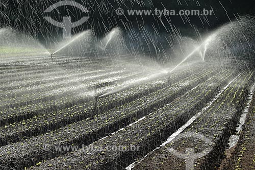  Subject: Irrigation in vegetables plantation in the mountainous region of Rio de Janeiro - Teresopolis-Friburgo Road / Place: Vargem Grande neighborhood - Teresopolis city - Rio de Janeiro state (RJ) - Brazil / Date: 02/2012 