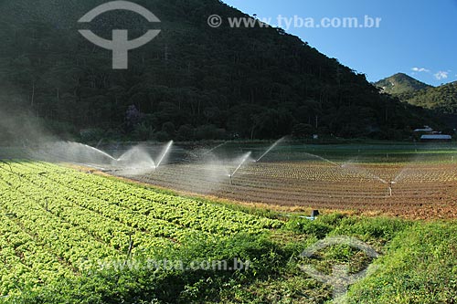  Subject: Irrigation in vegetables plantation in the mountainous region of Rio de Janeiro - Teresopolis-Friburgo Road / Place: Vargem Grande neighborhood - Teresopolis city - Rio de Janeiro state (RJ) - Brazil / Date: 02/2012 