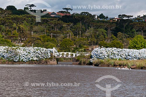  Subject: Palace of Hortensias Park / Place: Canela city - Rio Grande do Sul state (RS) - Brazil / Date: 01/2012 