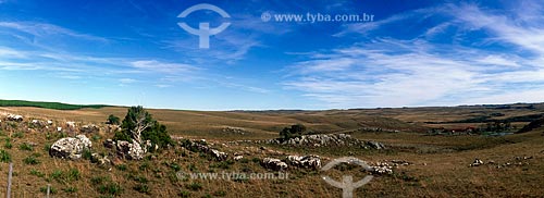  Subject: View of landscape of the Campos de Cima da Serra / Place: Region of Campos de Cima da Serra - Rio Grande do Sul state (RS) - Brazil / Date: 10/2005 