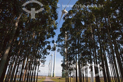  Subject: Osorio Wind Farm / Place: Osorio city - Rio Grande do Sul state (RS) - Brazil / Date: 09/2011 