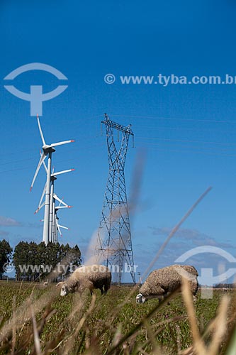  Subject: Sheeps grazing in the Osorio Wind Farm, with wind energy generators in the background / Place: Osorio city - Rio Grande do Sul state (RS) - Brazil / Date: 09/2011 