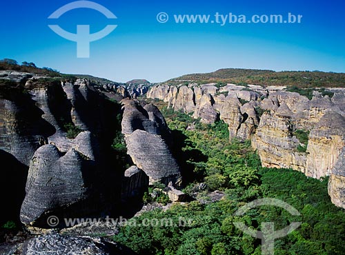  Subject: Capivara Mountain - Serra da Capivara National Park / Place: Piaui state (PI) - Brazil / Date: 08/2007 